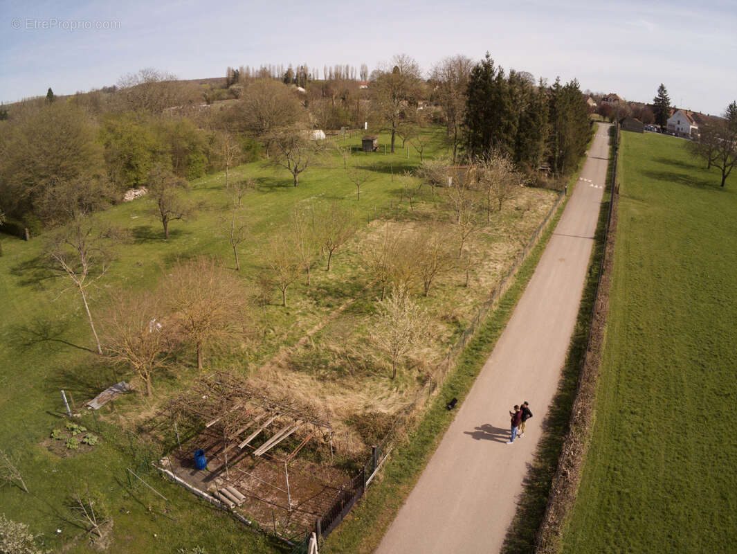 Terrain à SARRE-UNION