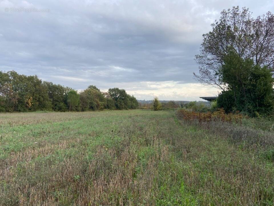 Terrain à SERIGNAN