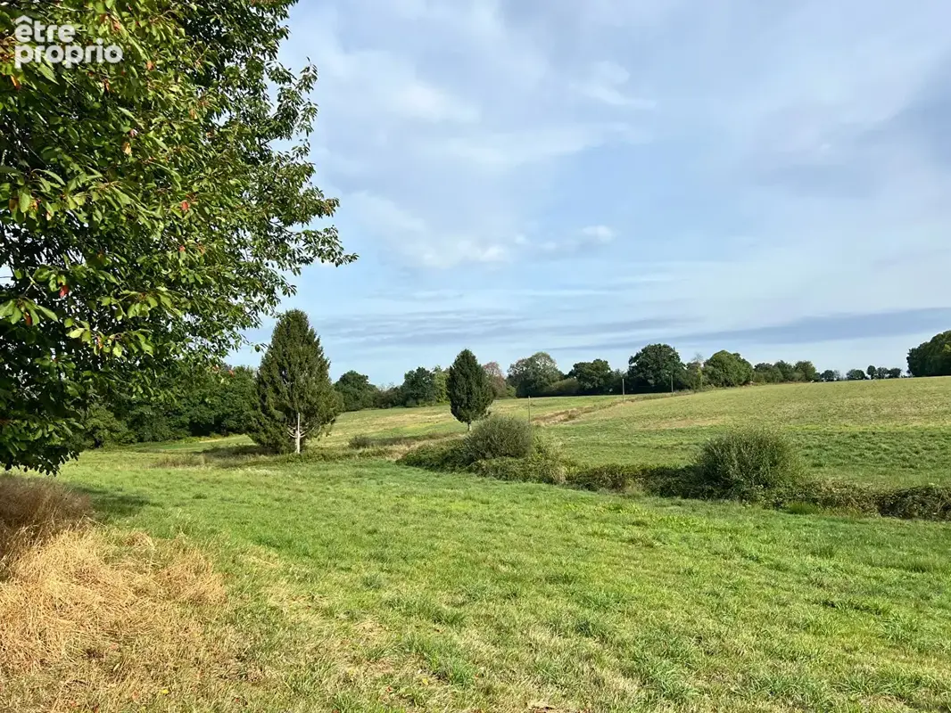 Fermette à rénover - 80 m2 - 9000 m2 de terrain - photo 2