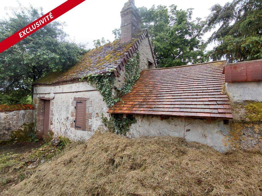 Maison rénovée 4 chambres, dépendances, jardin clos - photo 12