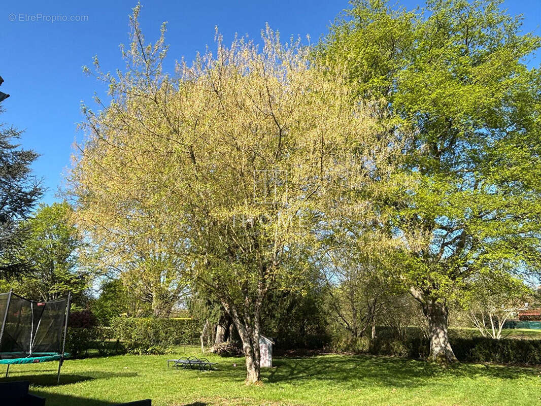 Maison à SAINT-SATURNIN