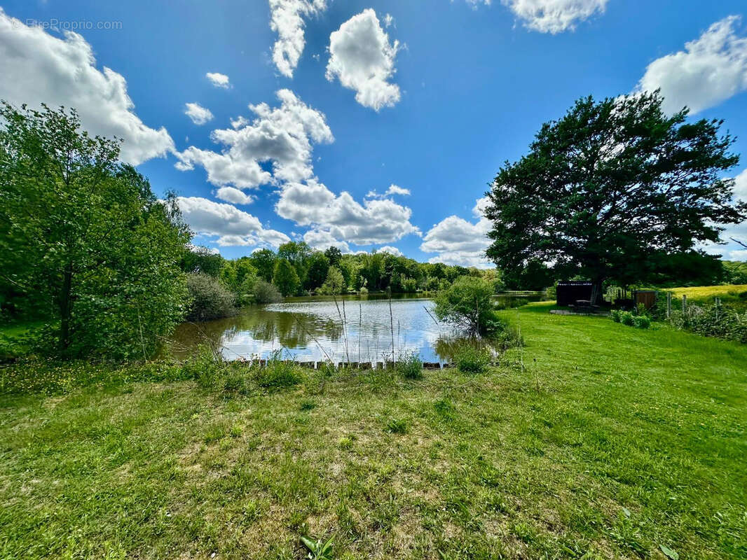 Terrain à MAGNIVRAY