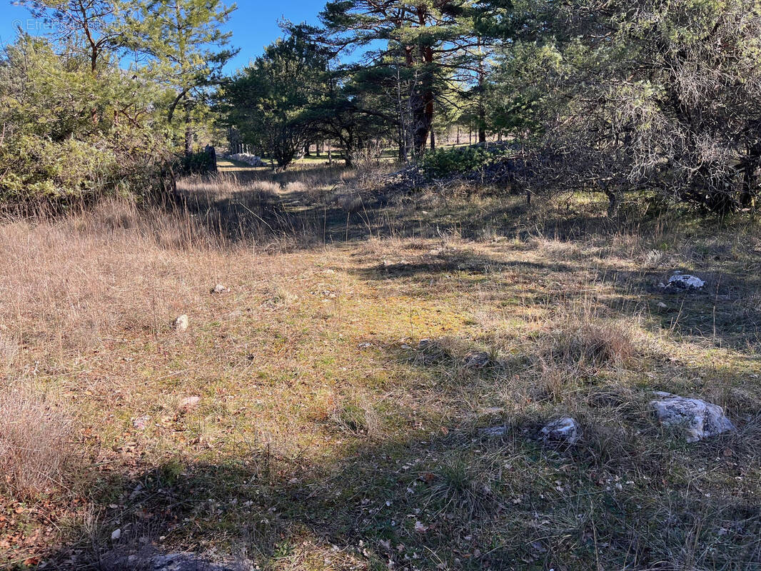 Terrain à SAINT-VALLIER-DE-THIEY