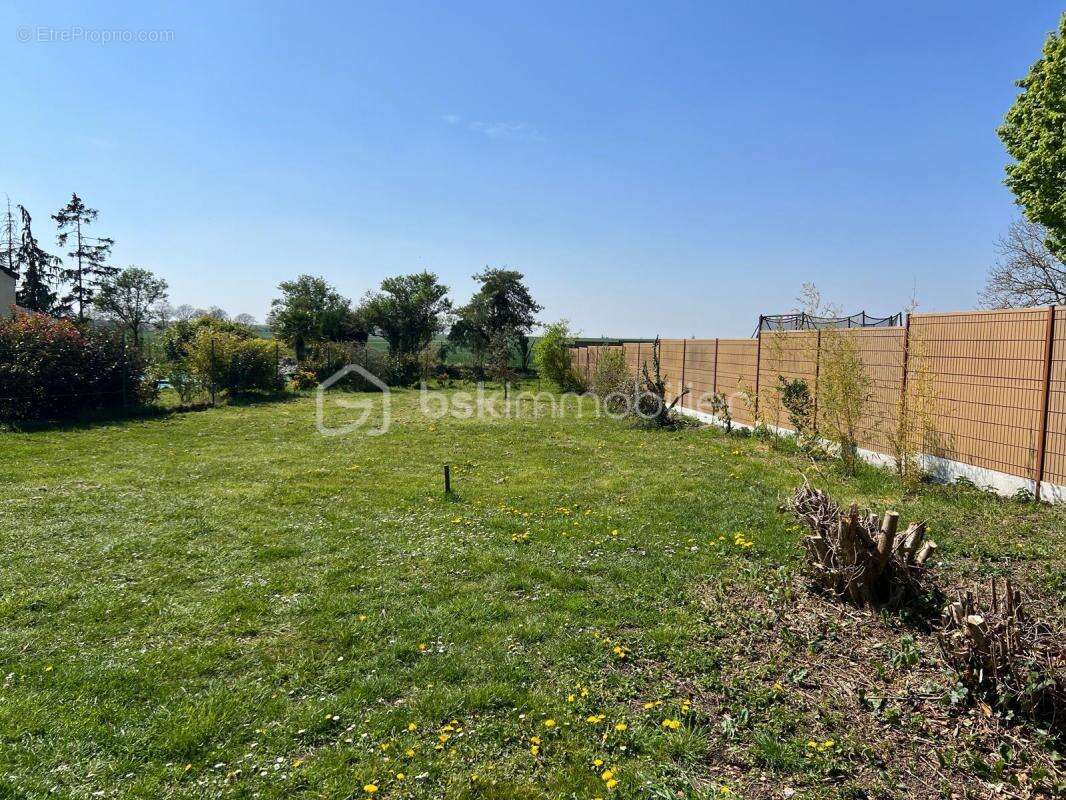 Terrain à BAZAINVILLE