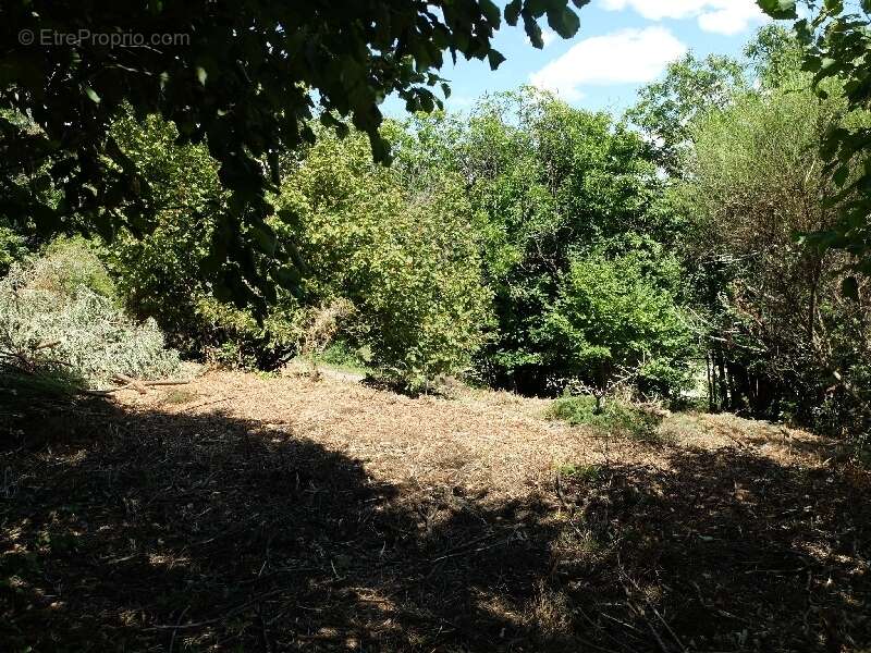 Terrain à SAINT-ANDRE-DE-MAJENCOULES