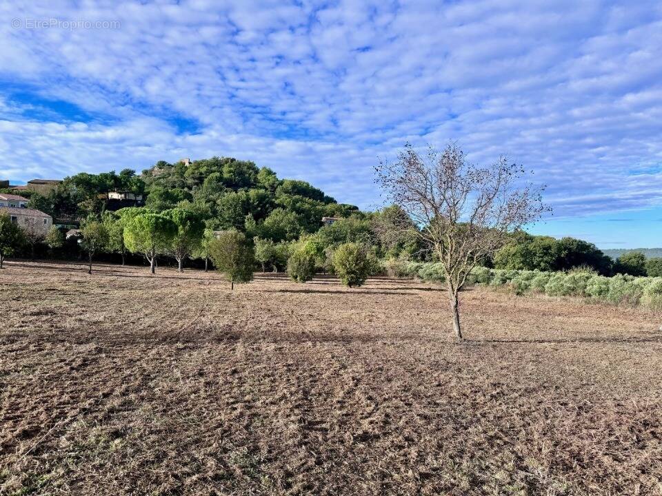 Terrain à ROGNES