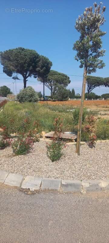 Terrain à SALLELES-D'AUDE