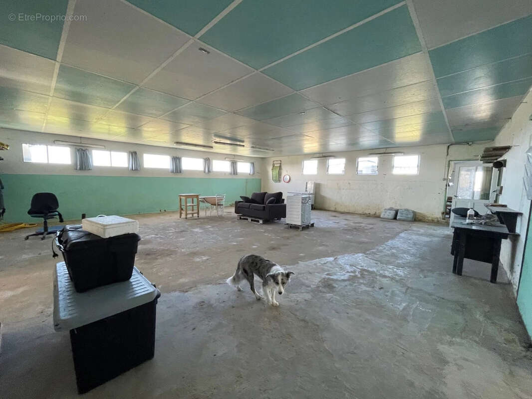 Maison à SAINT-JUST-LUZAC