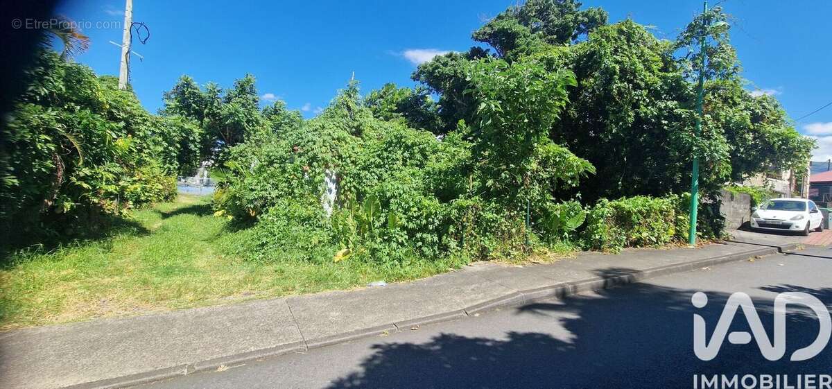 Photo 3 - Terrain à LE TAMPON