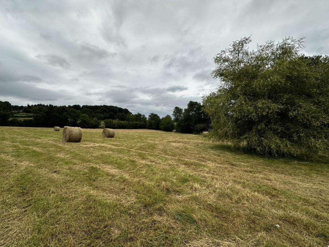 Terrain à SAINT-CYR-LA-ROSIERE