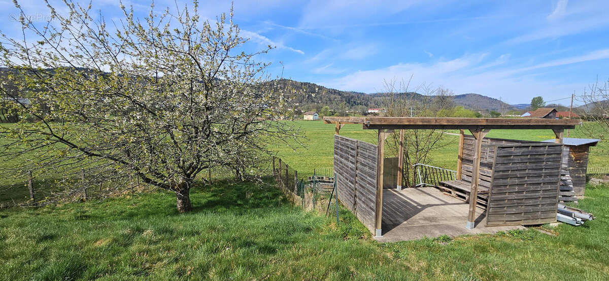 20250419_104951 - Maison à LE THILLOT