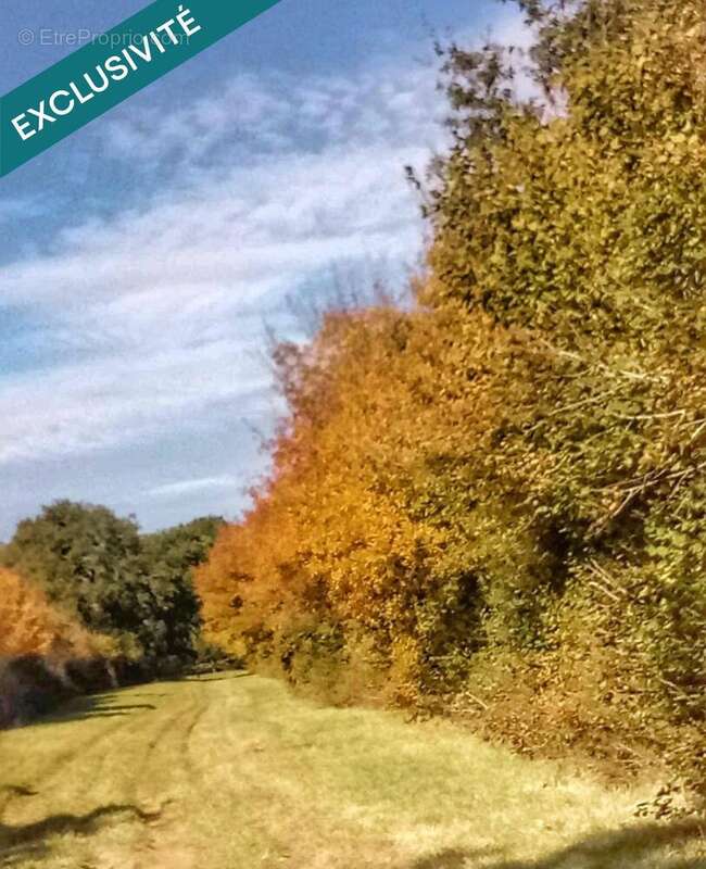 Photo 3 - Terrain à BENON