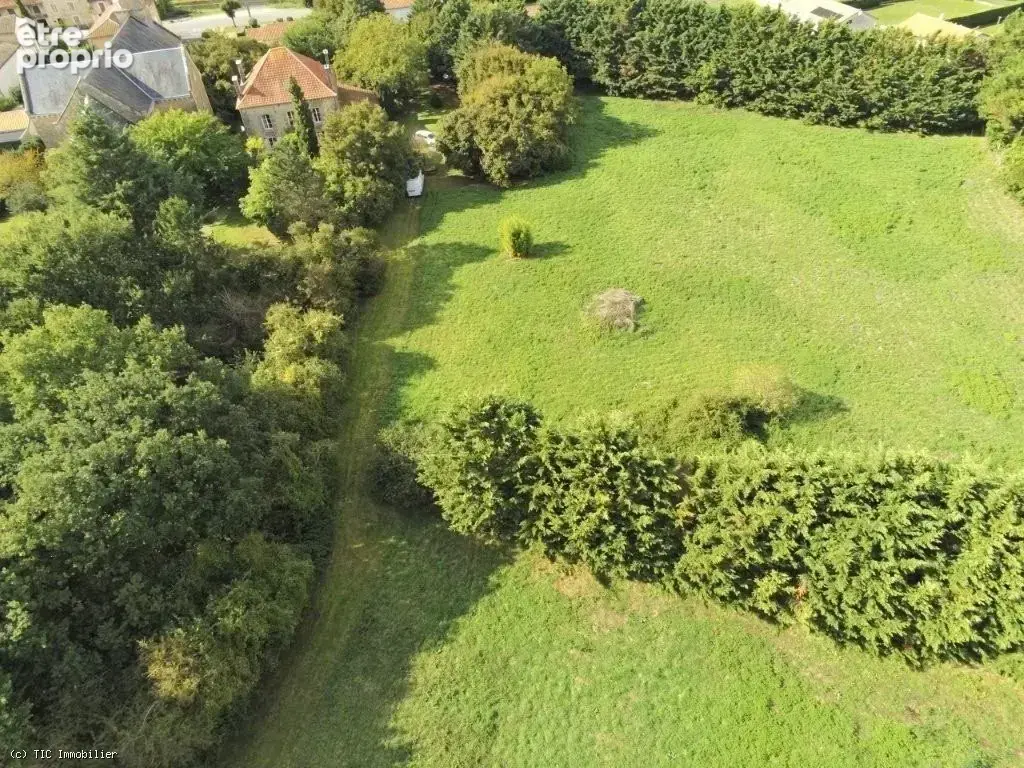 Superbe Presbytère de Caractère avec Magnifiques Jardins, entre Valence-en-Poitou et Vivonne - photo 39
