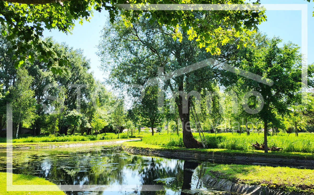 Maison à ESTREELLES