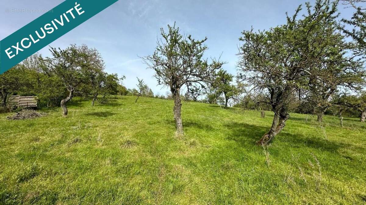 Terrain 1015 m² à Bouxieres-Aux-Chenes  - photo 6