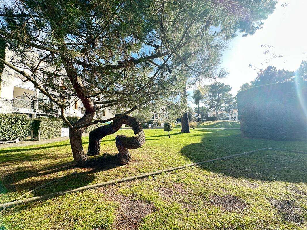 Appartement à SAINT-GEORGES-DE-DIDONNE