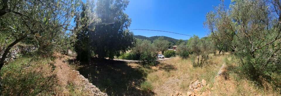 Terrain à CARNOULES