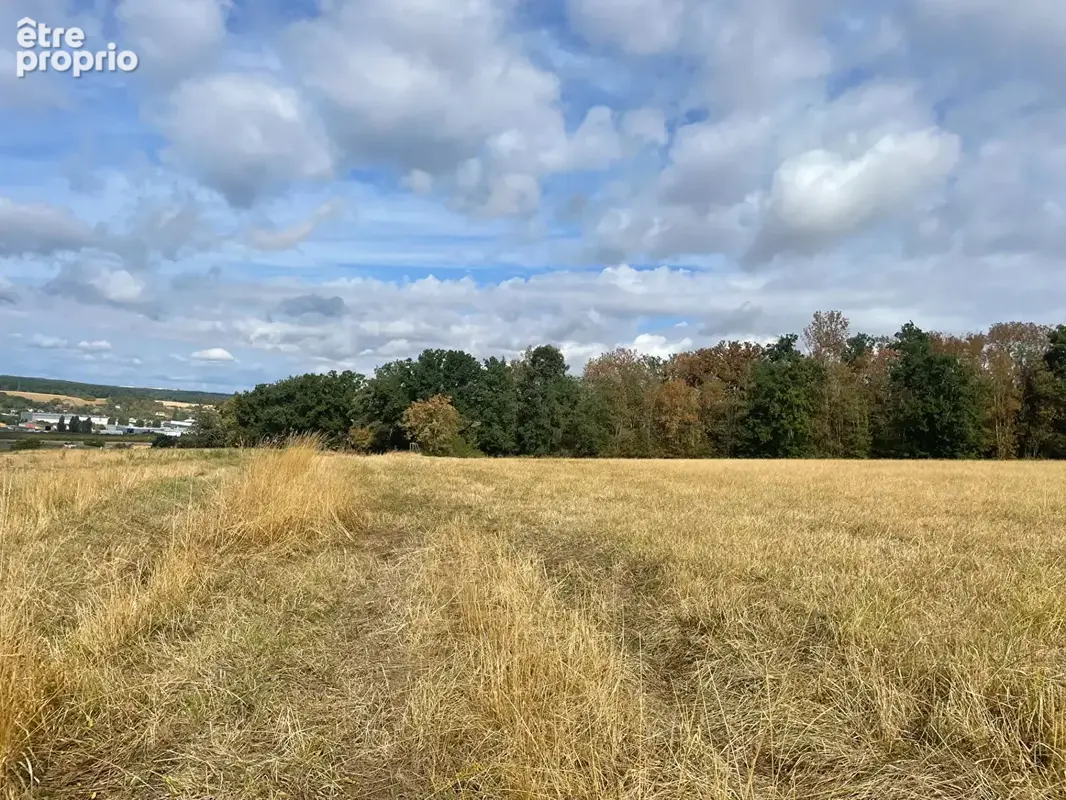 Bois sur les hauteurs d' Auxerre 11380 m2 - photo 2