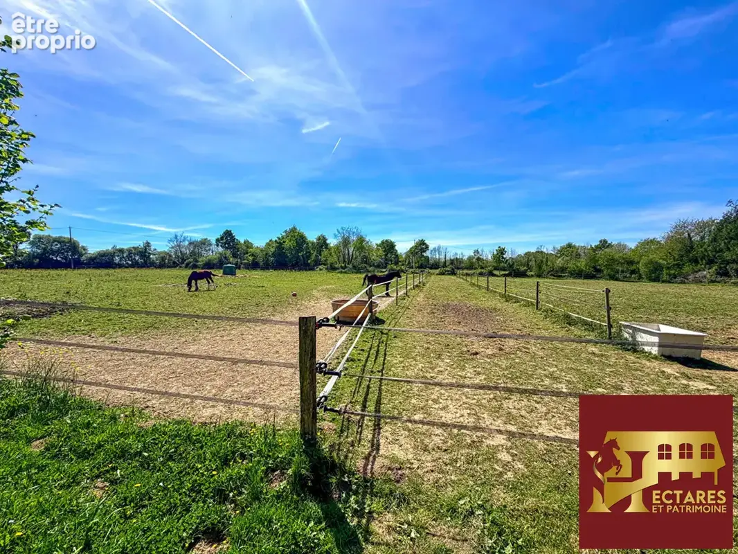 Propriété 2 Hectares et maison 90 m2 Notre Dame des landes - photo 3