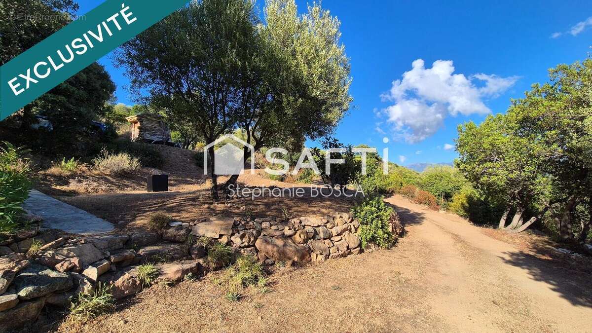 Photo 8 - Terrain à SERRA-DI-FERRO