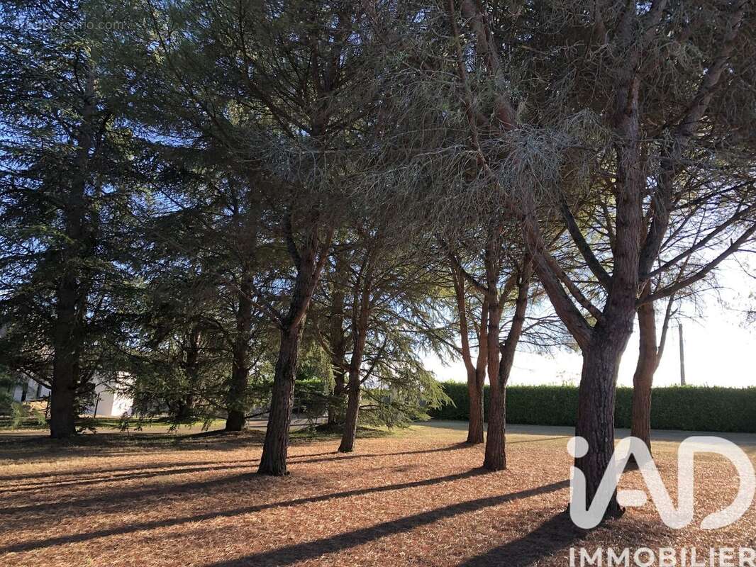 Photo 7 - Maison à BARBEZIEUX-SAINT-HILAIRE