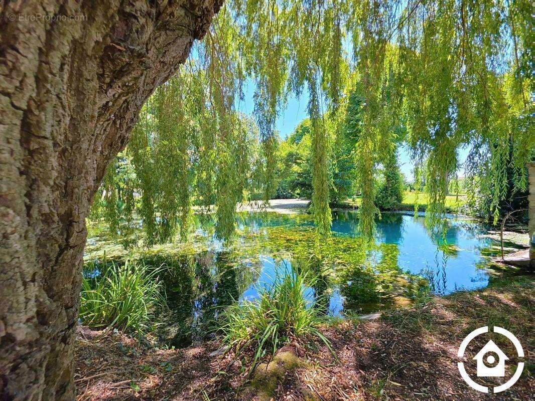 Maison à GENSAC-LA-PALLUE