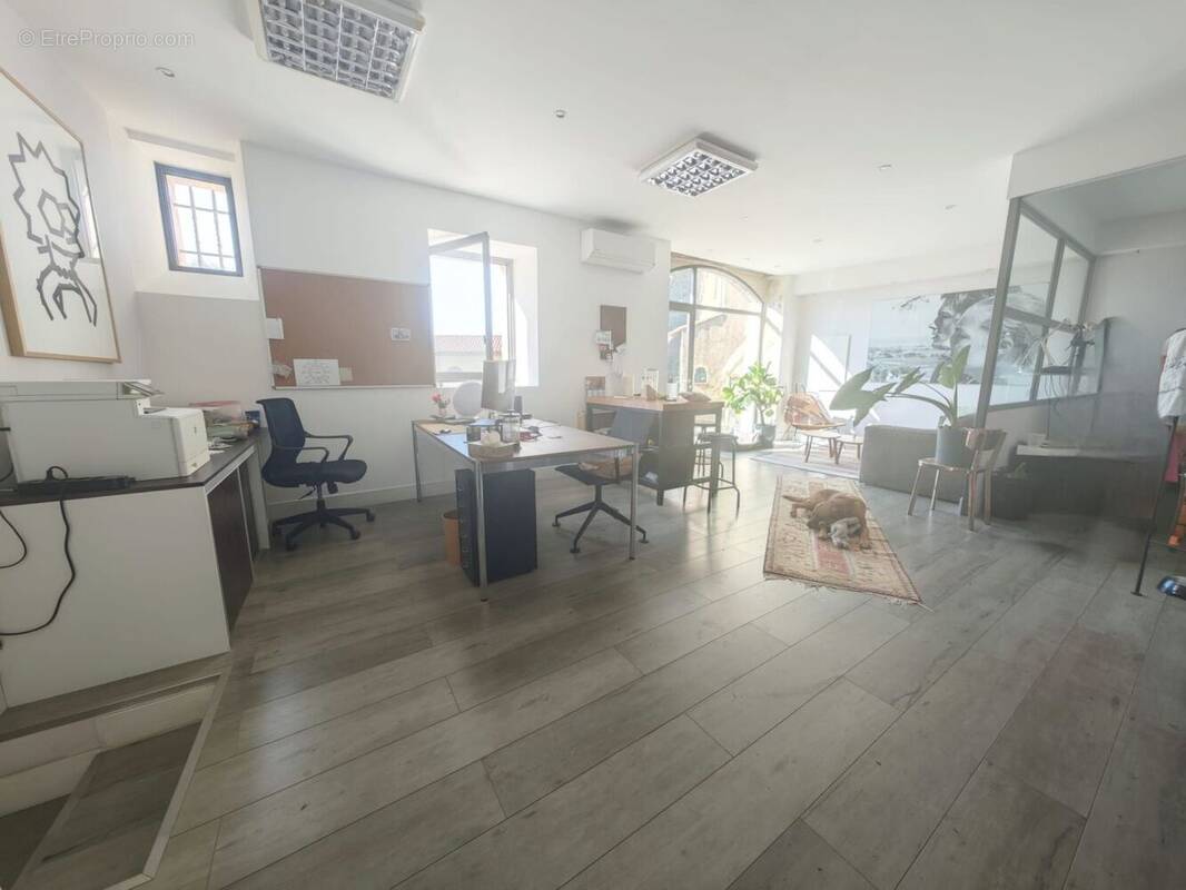 Commerce à MONTAUROUX