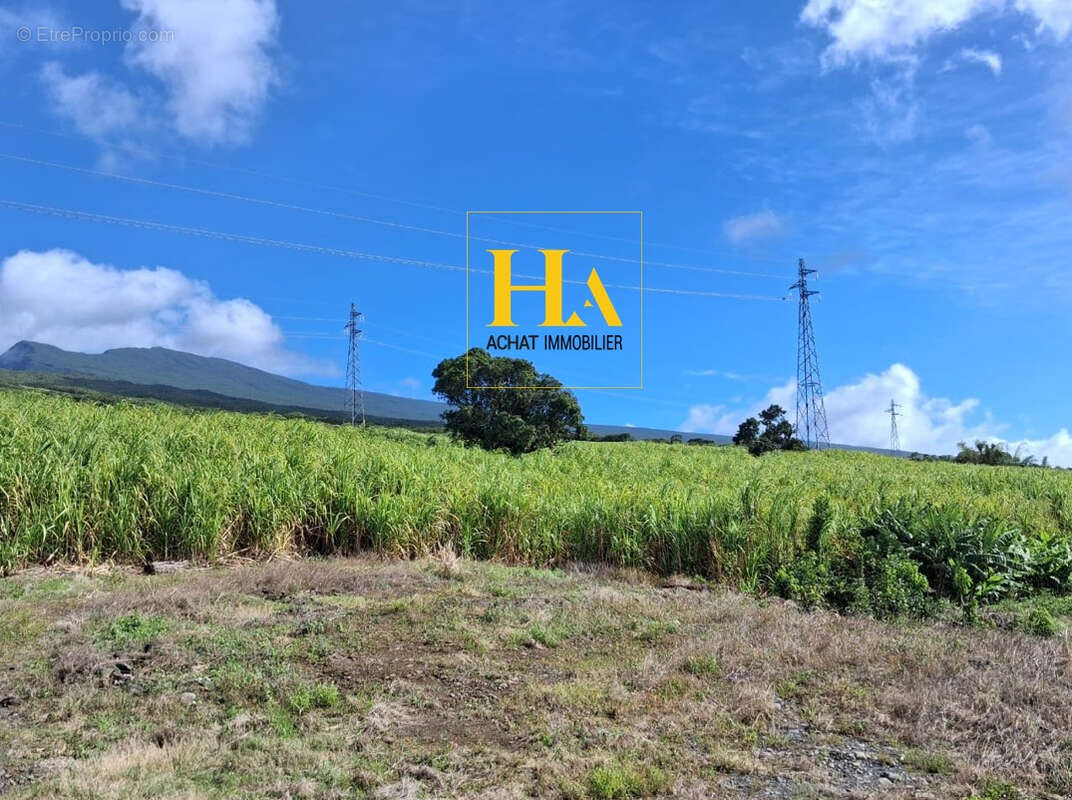 Terrain à SAINTE-ROSE