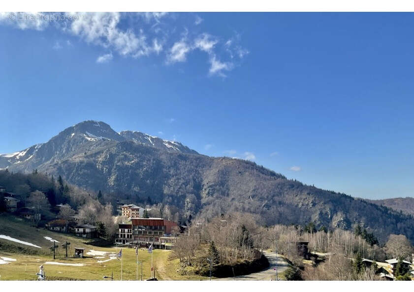 Appartement à MONTFERRIER