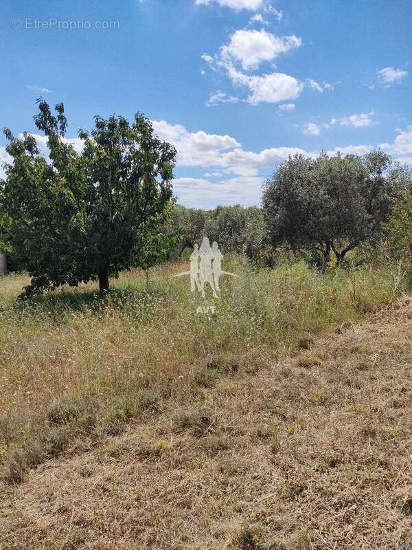 Terrain à MERINDOL
