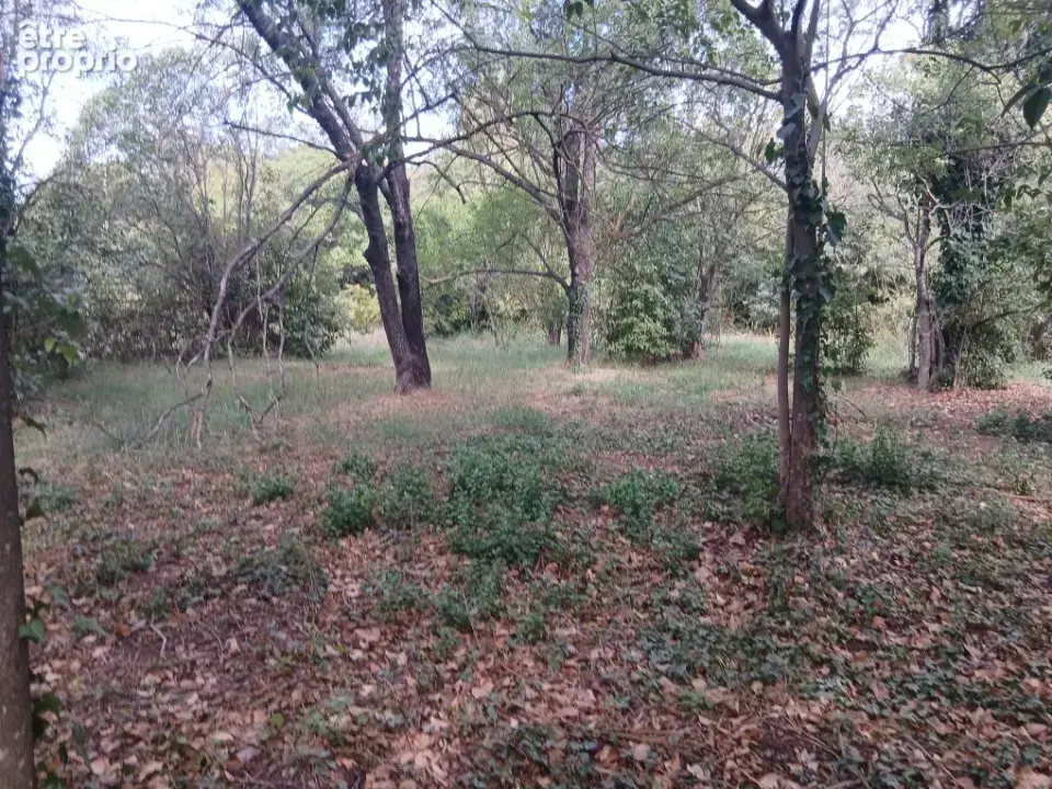 Photo Terrain à Sollies-Pont au prix de 249 000€