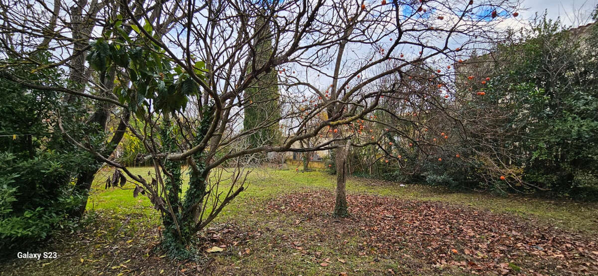 Terrain à SAINT-REMY-DE-PROVENCE