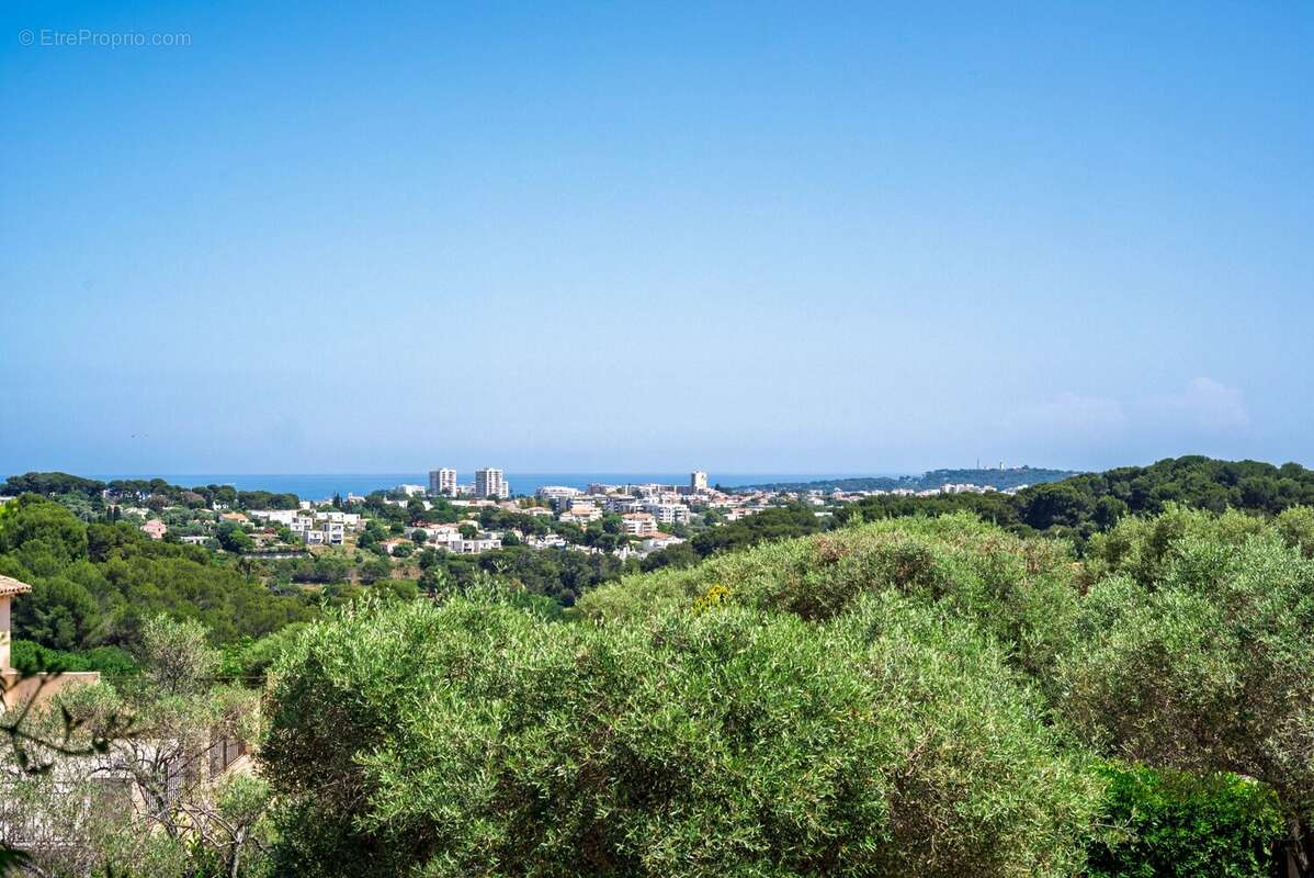 Antibes.Belle propriété.Grand terrain. - photo 23