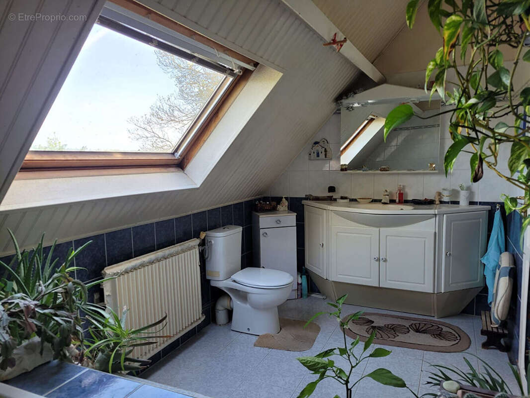 Maison à LIMOURS