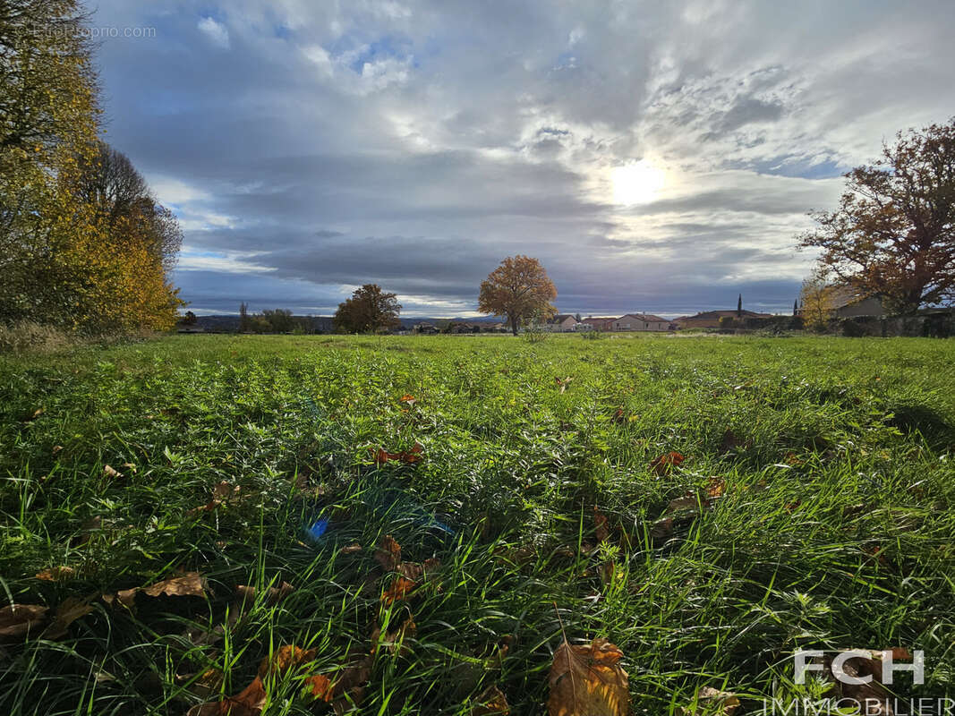 Terrain à BELLERIVE-SUR-ALLIER
