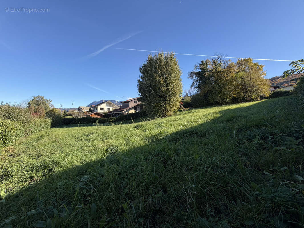 Terrain à NEUVECELLE