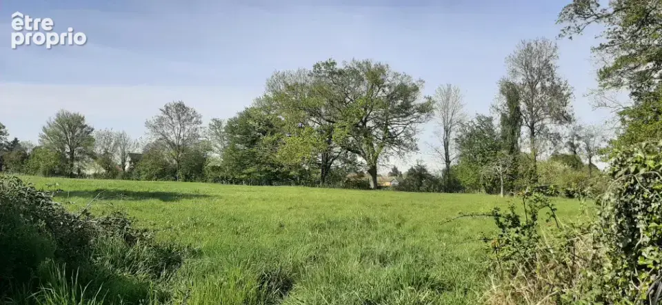 Terrain à SAVIGNE-L'EVEQUE