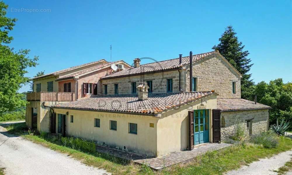 Ferme avec appartements, laboratoire de transformation et boutique à la ferme — Le Marche - photo 17