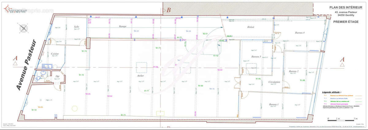 Commerce 1200 m² à Gentilly  - photo 6