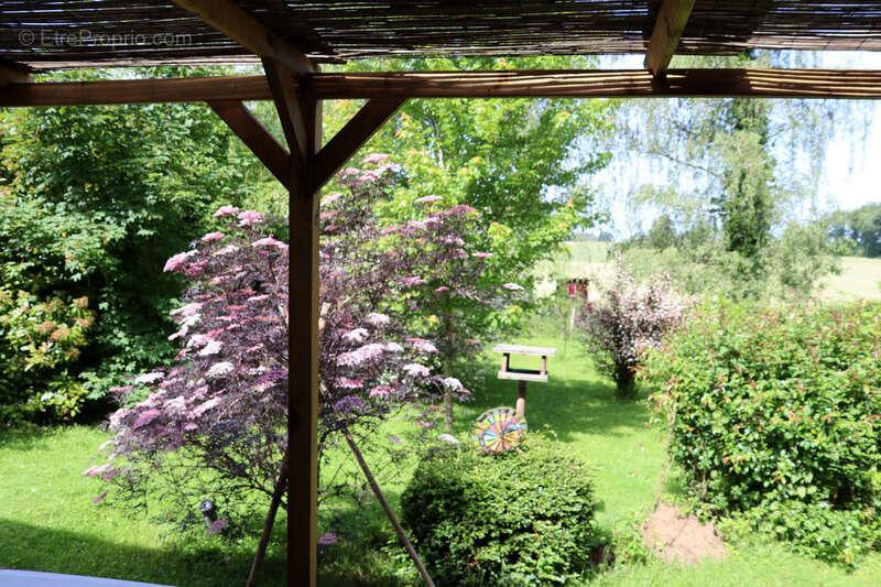 Environnement particulièrement calme avec une magnifique vue dégagée à CURCIAT DONGALON – 181 m² habitables sur 6970 m² de terra - photo 4