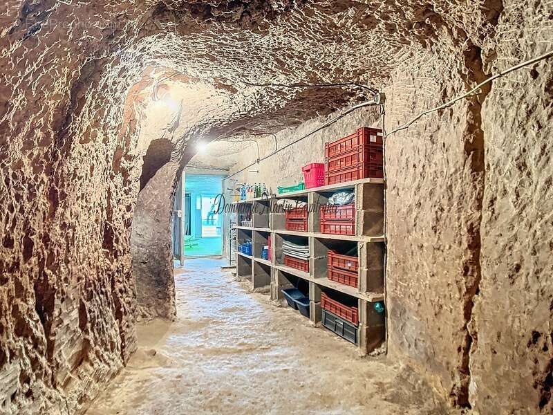 Maison à COUTURE-SUR-LOIR