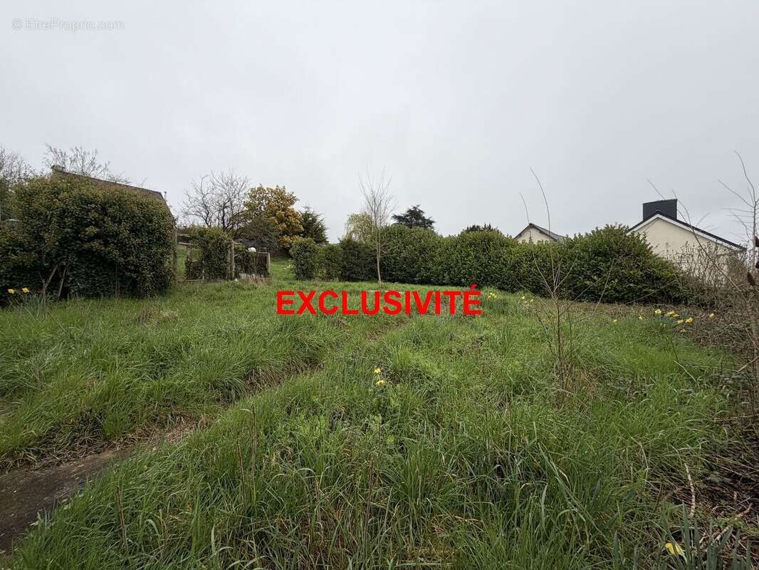 Terrain à MONTREUIL-LE-GAST