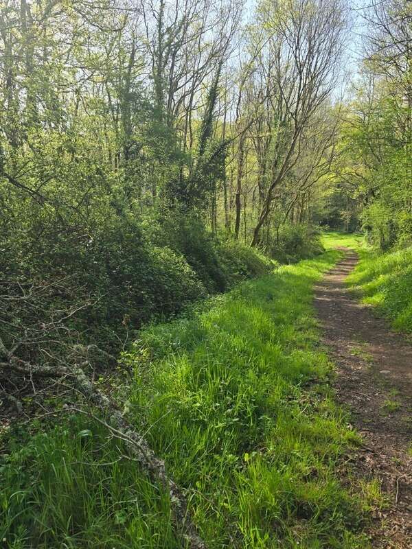 Terrain à LE CHAMP-SAINT-PERE