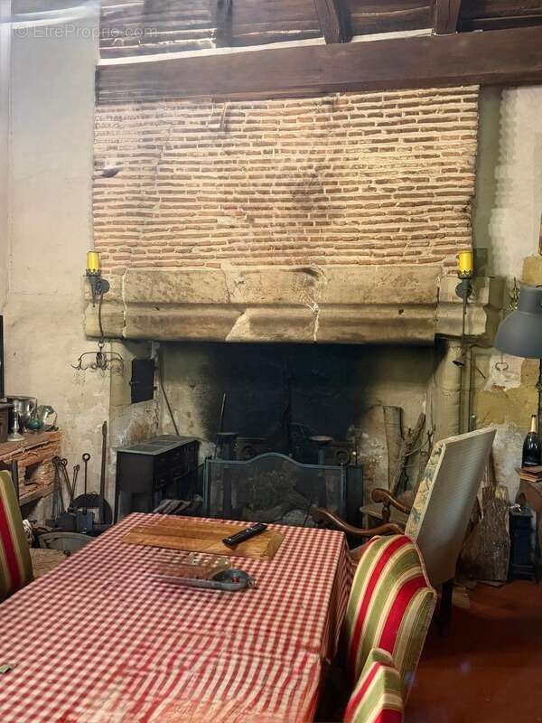MARCIAC(32): ancienne SEIGNEURIE avec BEAU CHATEAU XIV sur 3,5ha, cachée, au bout du chemin, sans voisin, en campagne, 500m2 hab - photo 10