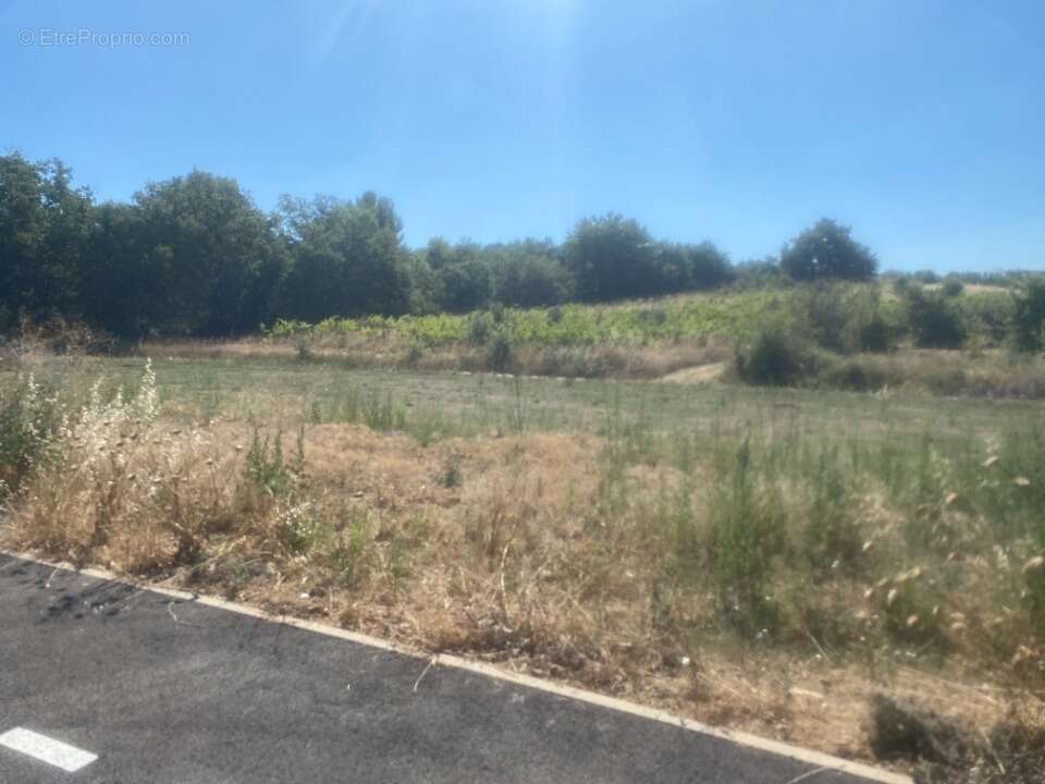 Terrain 510 m² à Pouzols  - photo 2
