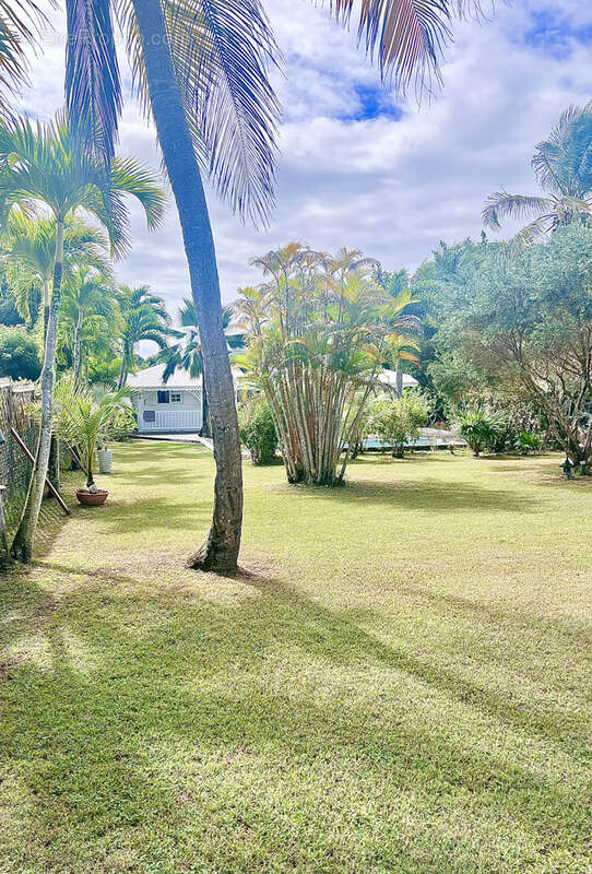 Maison à SAINT-FRANCOIS