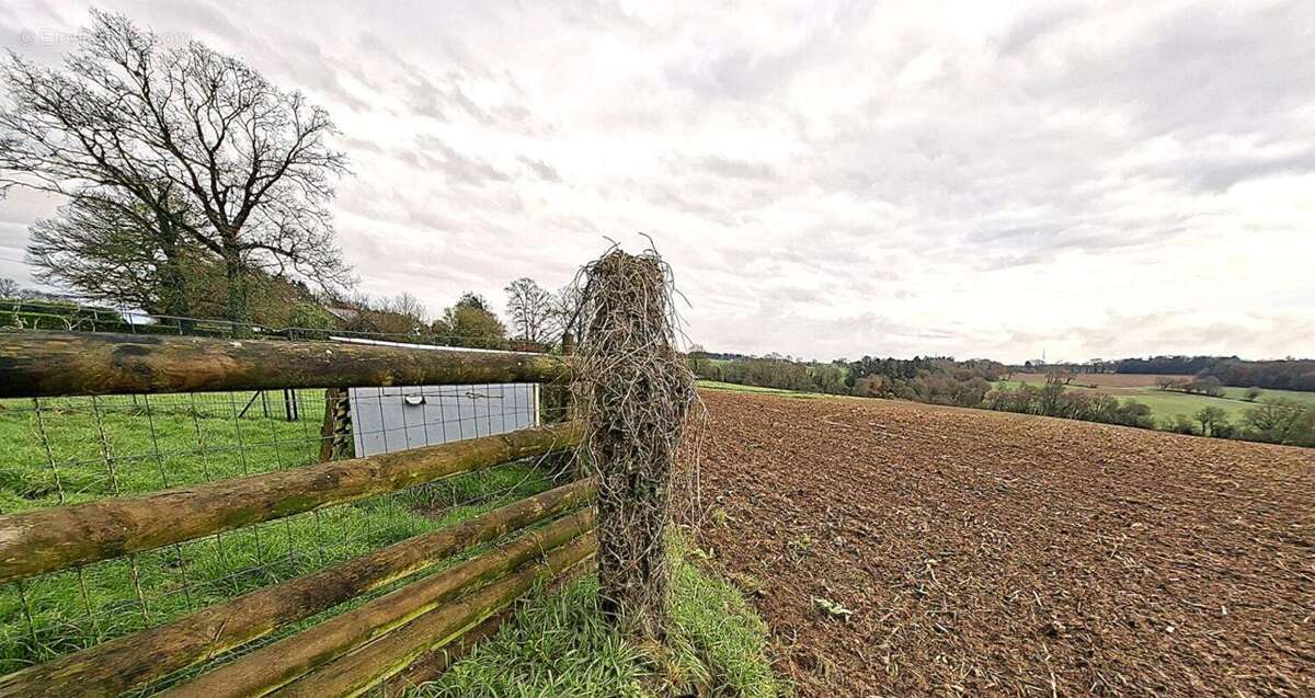 Terrain à REGUINY