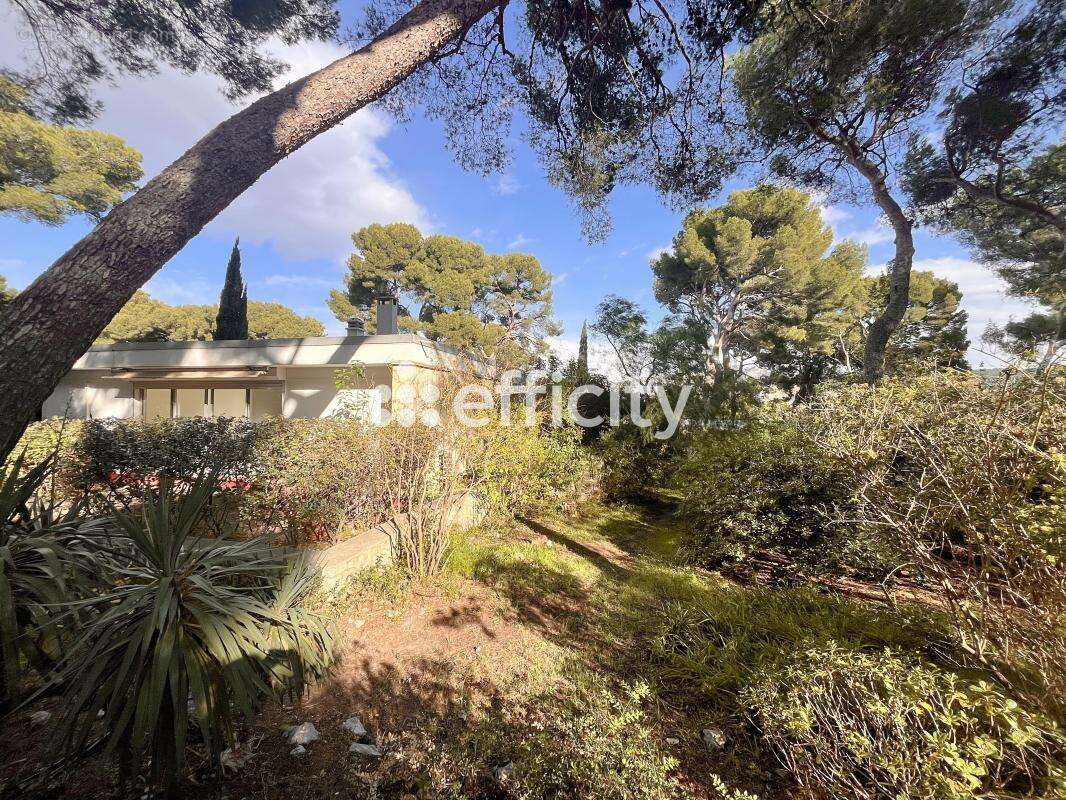 Maison à MARSEILLE-9E