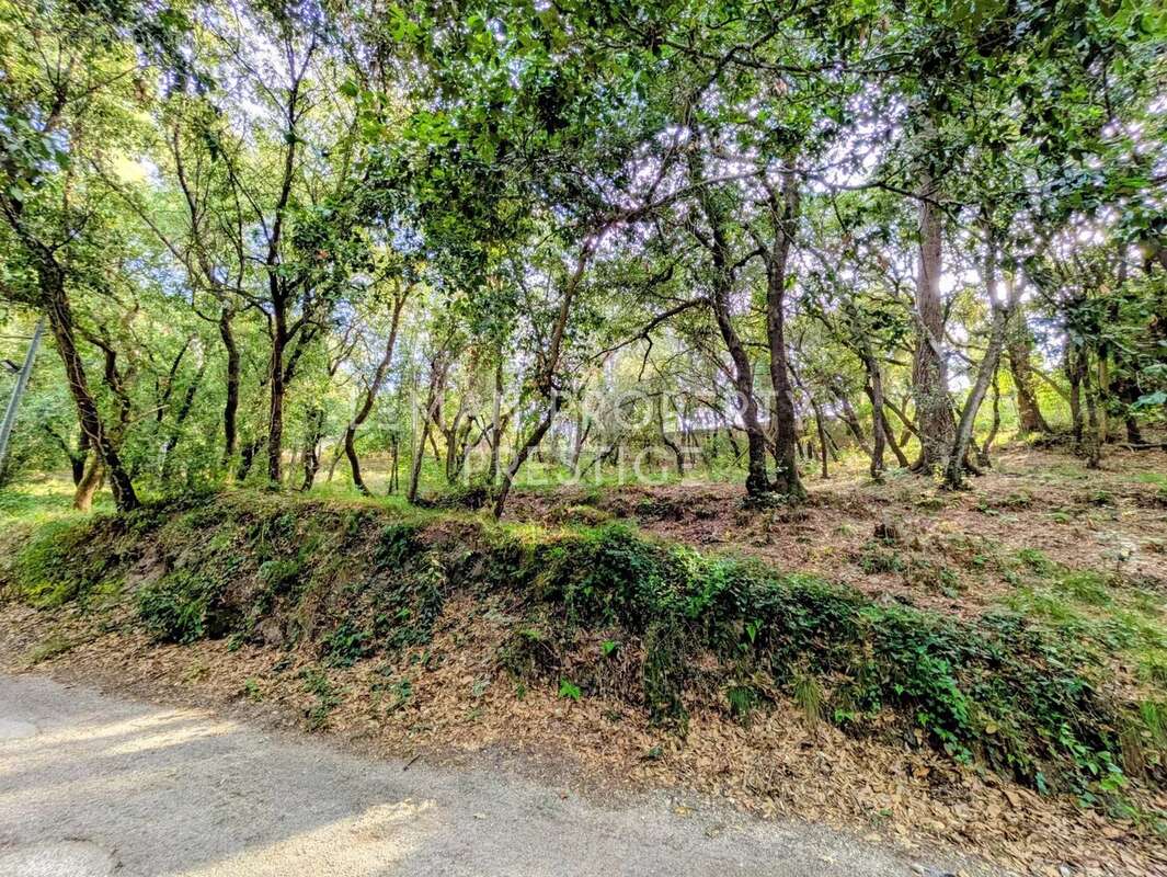 Appartement à VALLAURIS