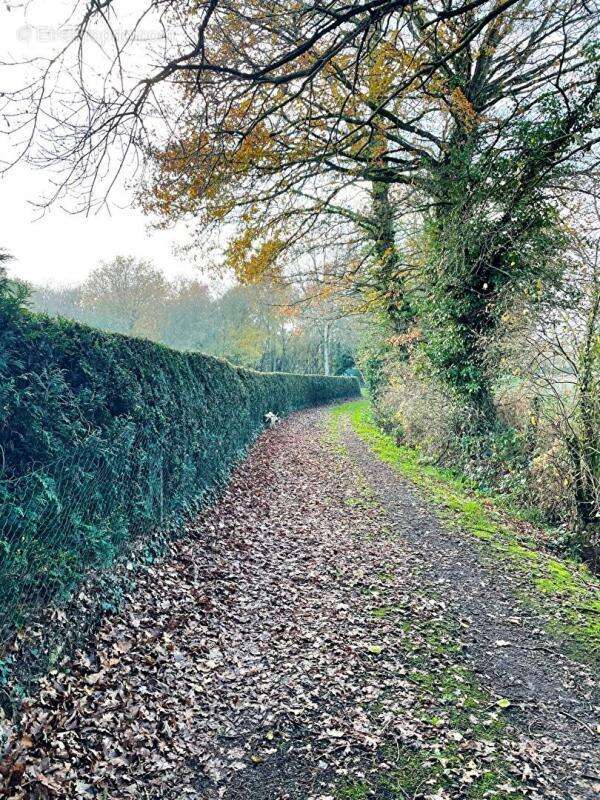 Terrain à BOISGERVILLY